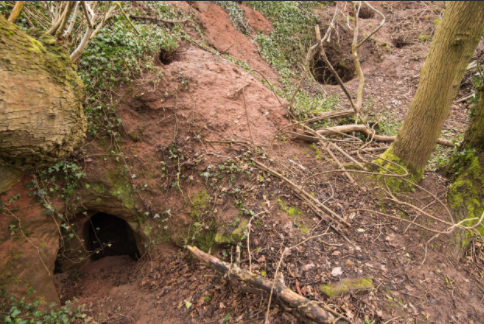 Eine Höhle.