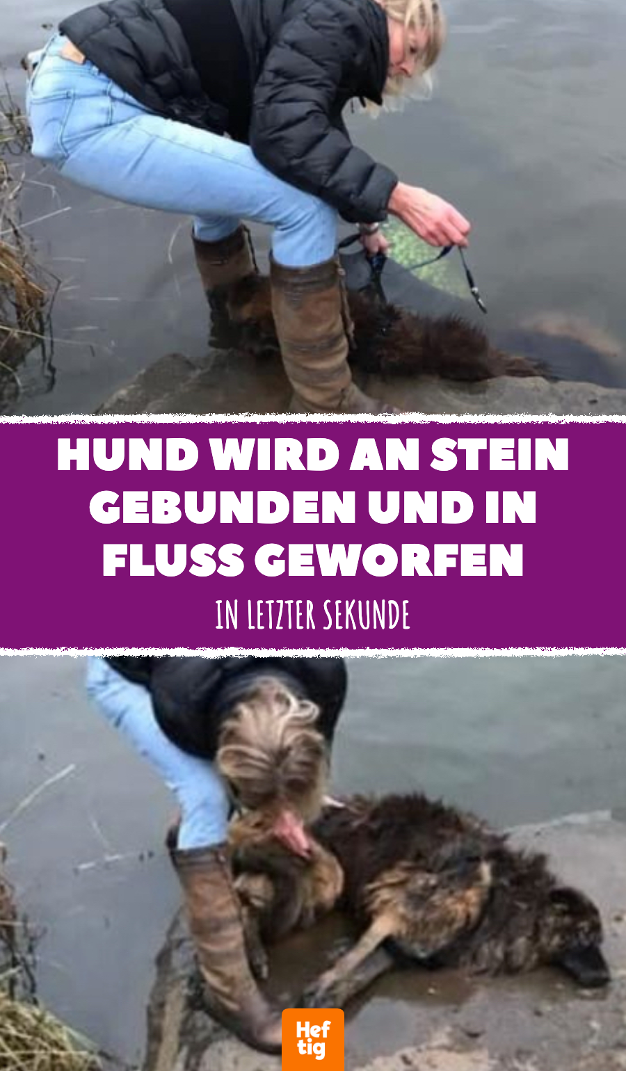 Tierrettung: Hund mit Stein am Hals aus Fluss gerettet