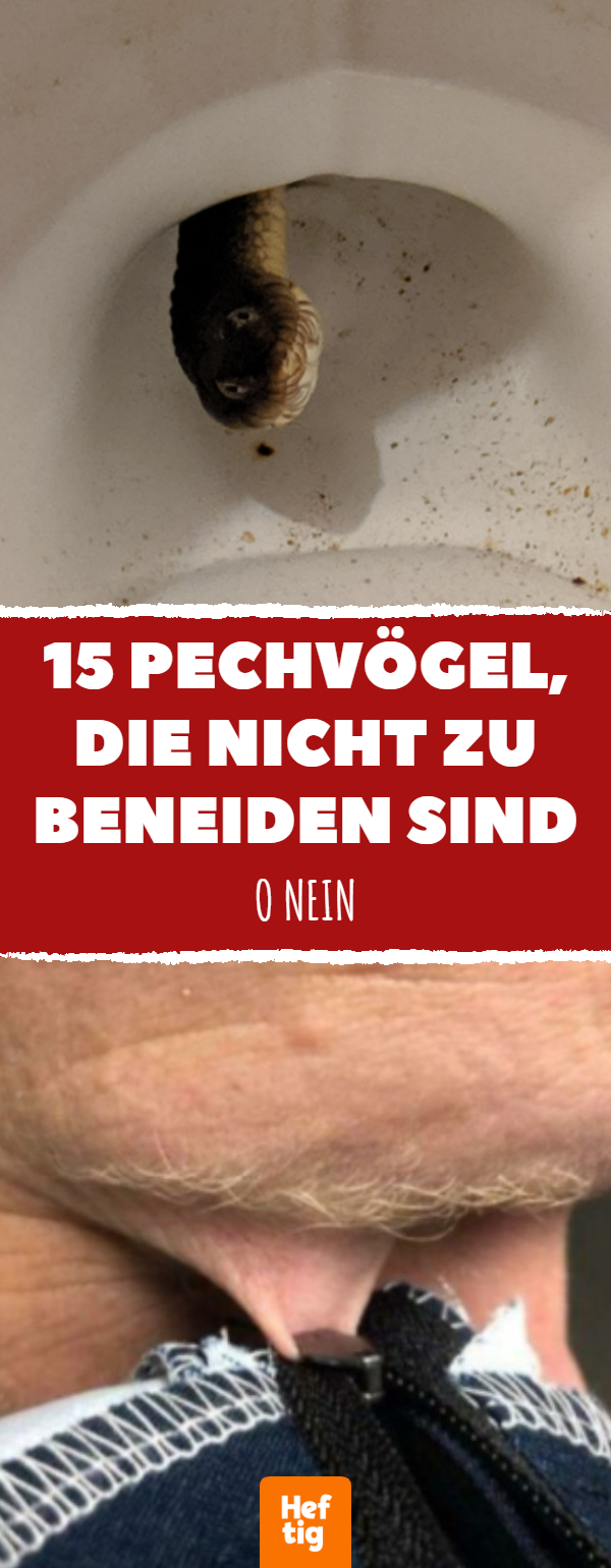 Fails: Lustige Bilder von Pechvögeln, die wirklich niemand beneidet