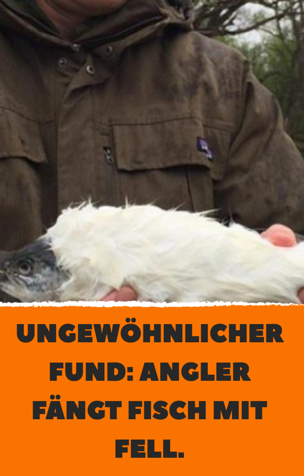 Ungewöhnlicher Fund: Angler fängt Fisch mit Fell.