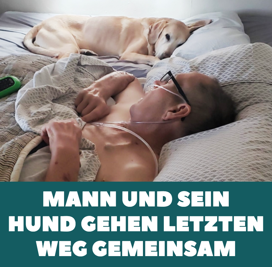 Mann und sein Hund sterben nur wenige Stunden nacheinander