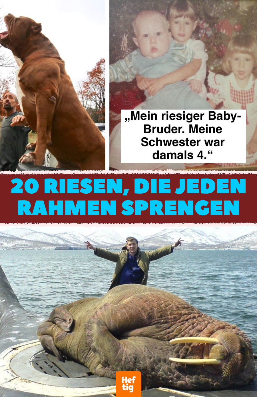 Pflanzen, Tiere, Menschen: 20 Bilder von echten Riesen