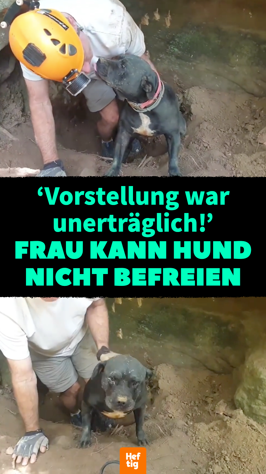 \'Vorstellung war unerträglich!\' Frau kann Hund nicht befreien