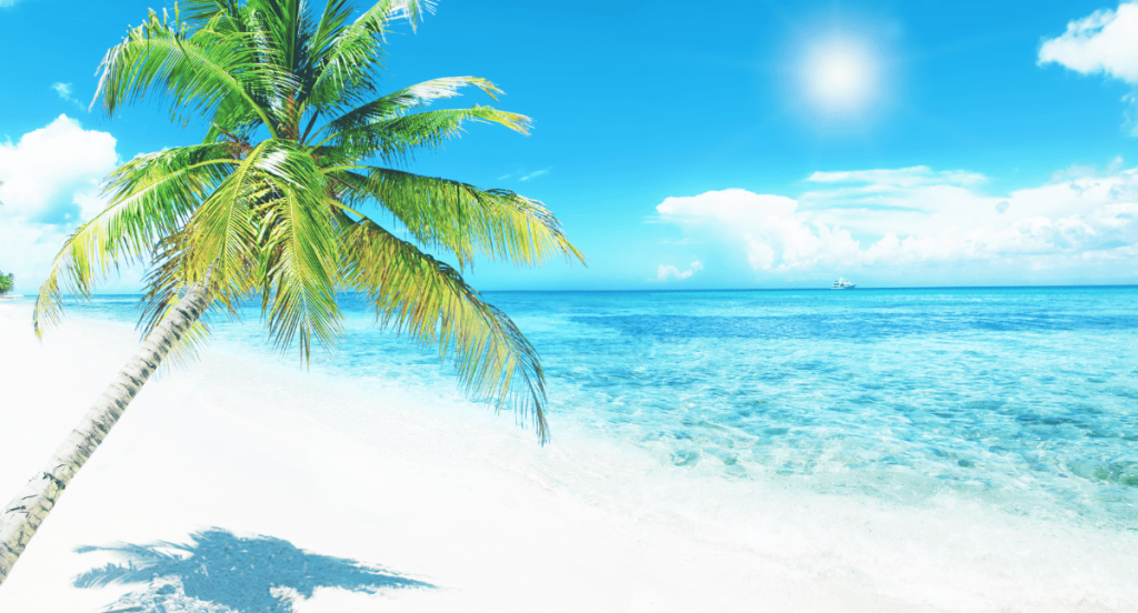 Ein Südseestrand mit Palme.