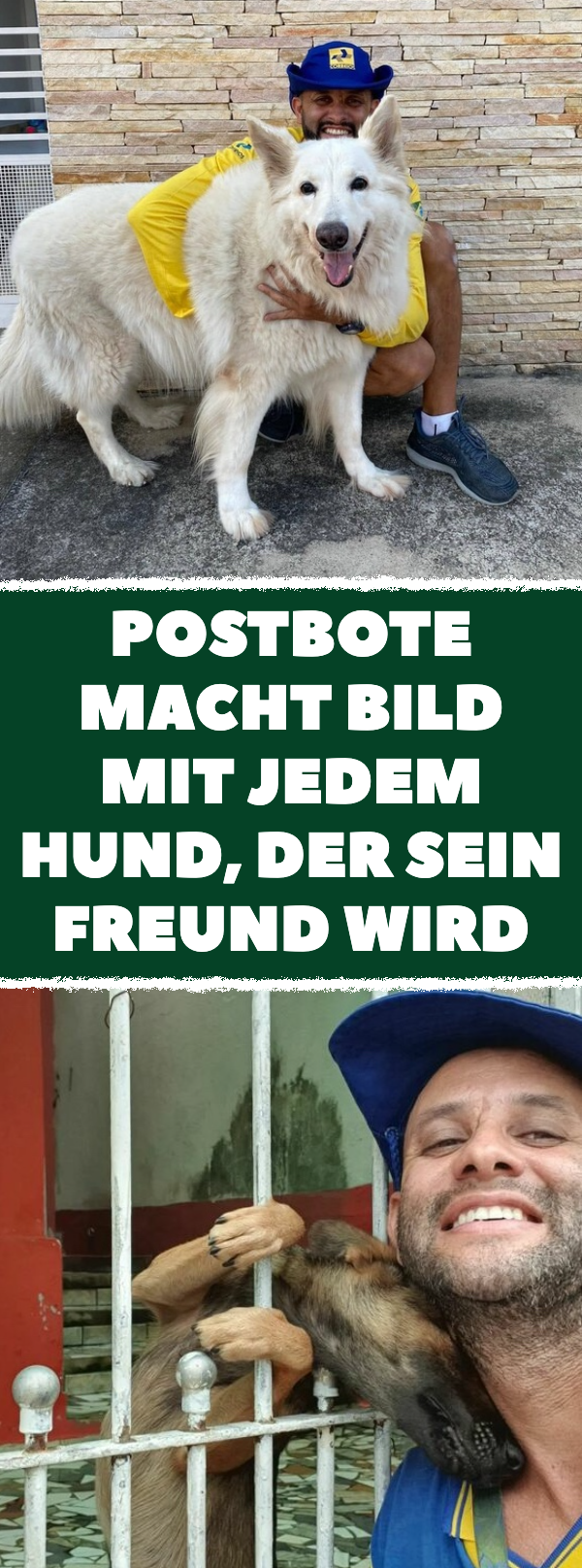 Postbote macht Bild mit jedem Hund, der sein Freund wird