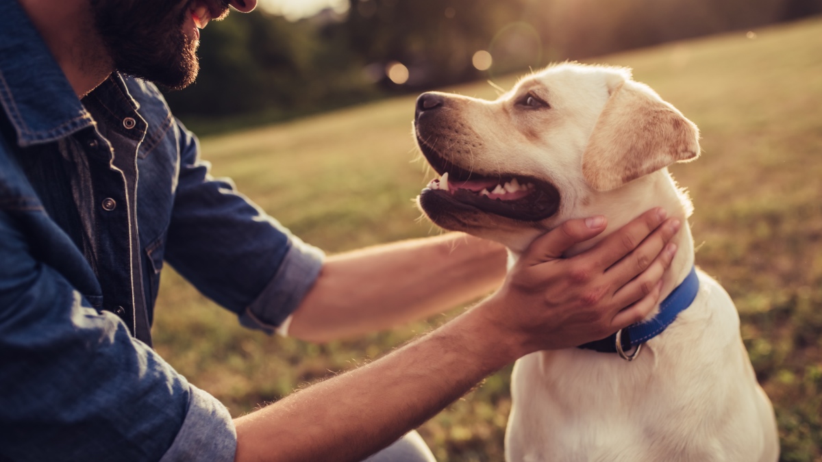 Ein Mann und ein Hund lächeln einander an.