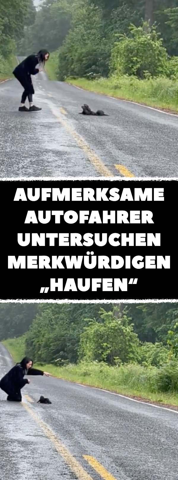 Aufmerksame Autofahrer untersuchen merkwürdigen „Haufen“