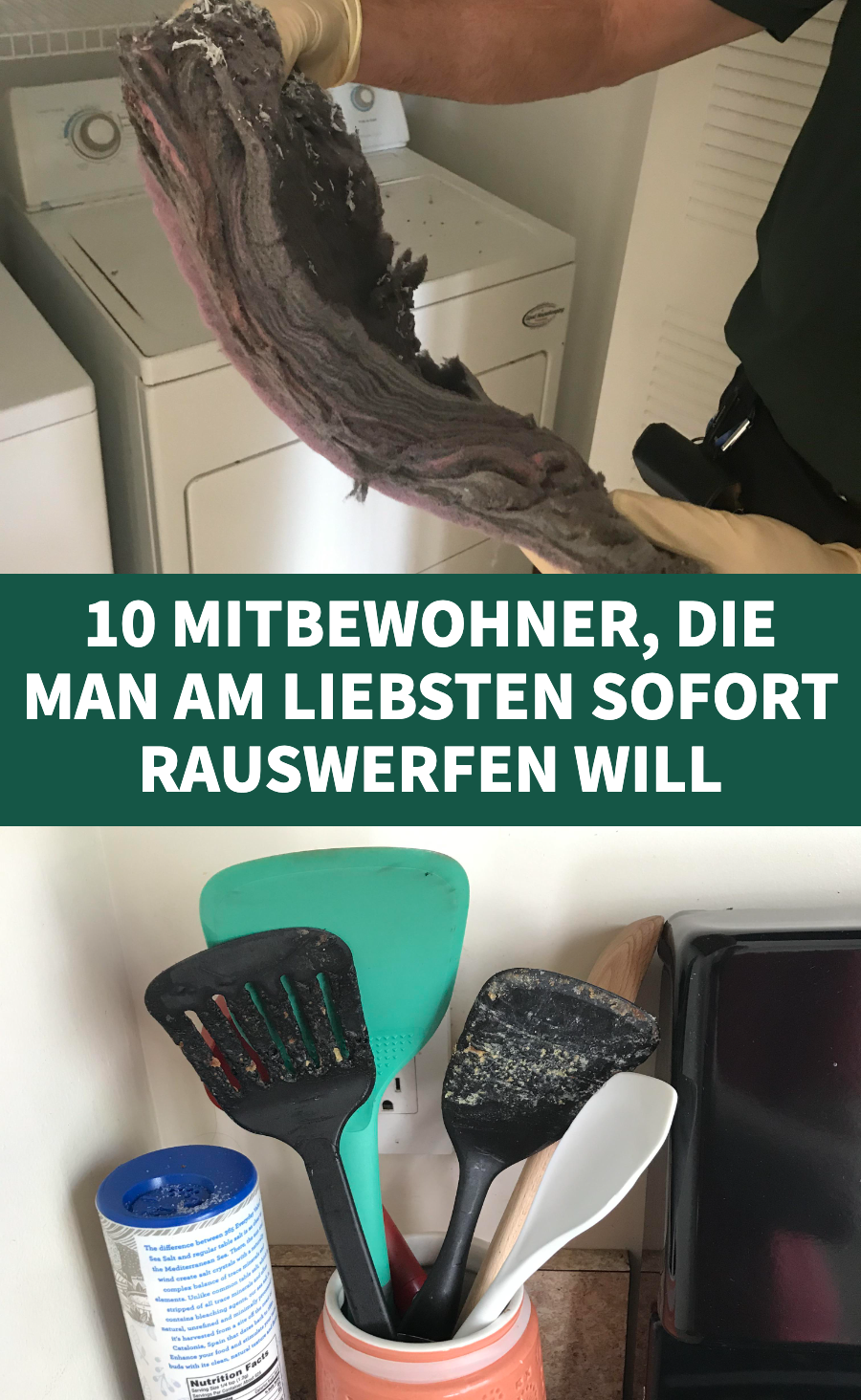 10 Menschen teilen Bilder von ihren schlimmsten Mitbewohnern