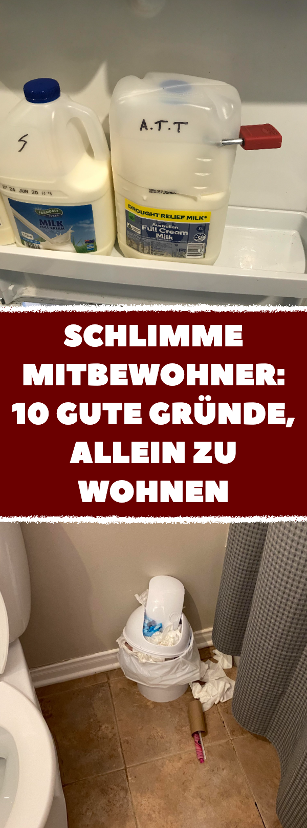 10 Menschen teilen Bilder von ihren schlimmsten Mitbewohnern