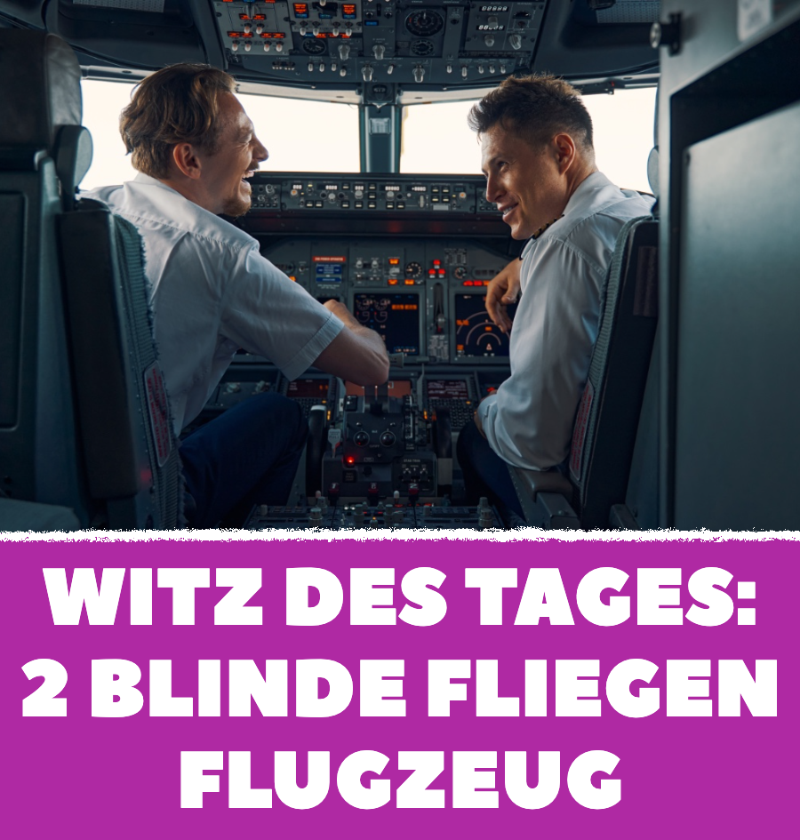 Witz des Tages: 2 Blinde fliegen Flugzeug