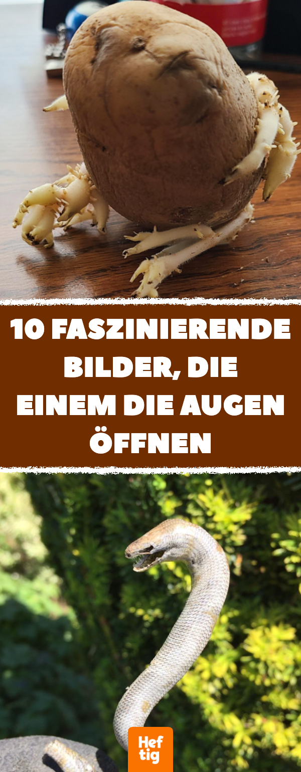 10 faszinierende Bilder, die einem die Augen öffnen